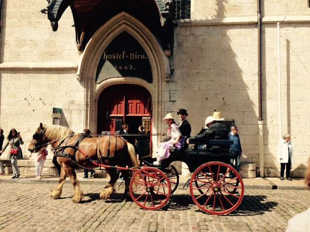 Attelage Beaune Passion - Balade "Prestige" en calèche