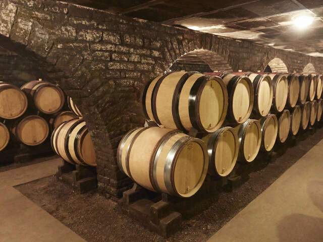 Domaine Besancenot