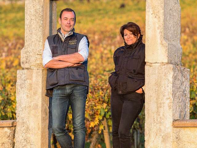 Wine Tour d’Exception : Dégustation parcellaire au cœur du Domaine Jean Chartron