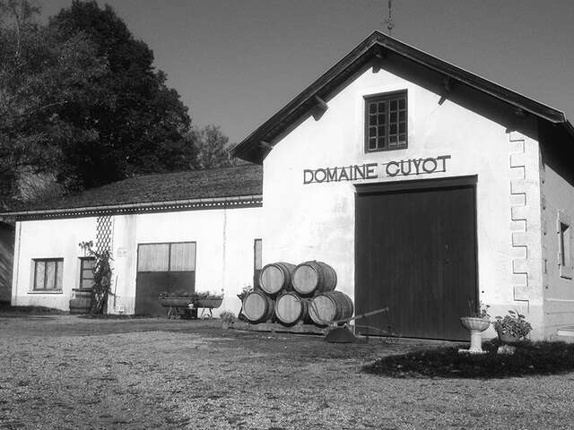 Domaine Guyot Baptiste