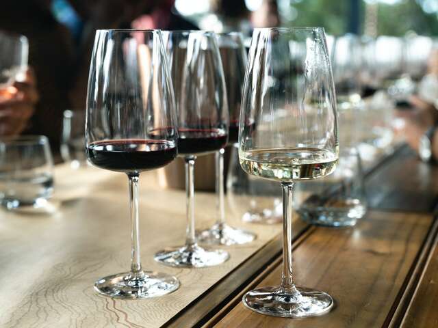 Les Divines Bourgogne - Plaisirs sensoriels
