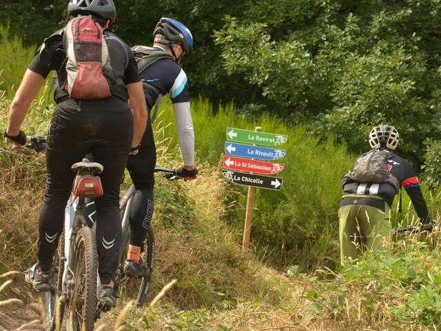 Site de piste de descente VTT