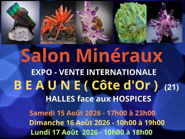 Salon Minéraux