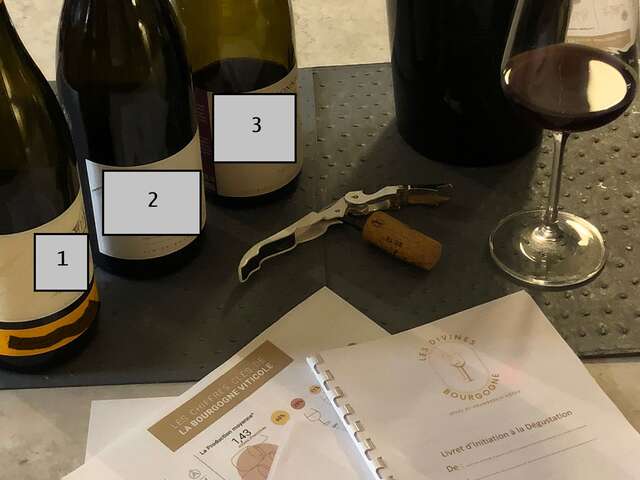 Plaisirs sensoriels et accords mets-vins