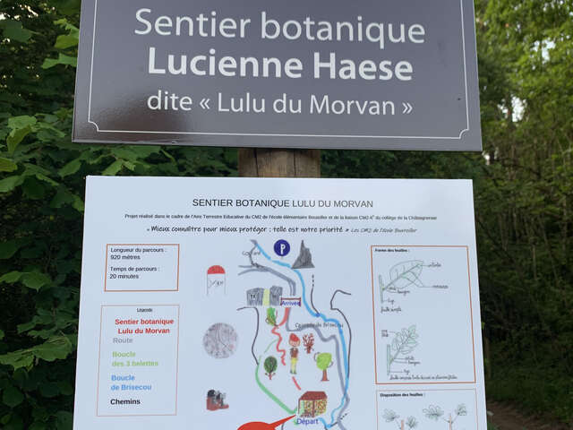 Sentier Lucienne Haese dite "Lulu du Morvan"