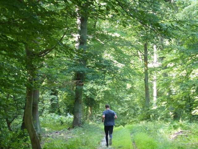 La Maison des Forêts