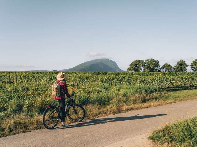 Sur les traces du Tour de France