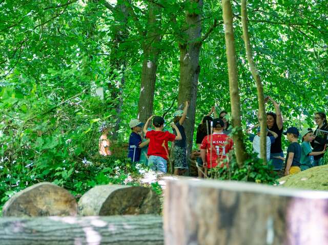 Mission à l'étang des 3 sources