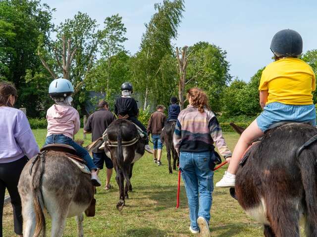 Randonnée accompagnée avec 1 âne