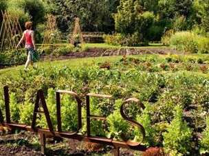 Barques des Hortillonnages  -  Le Jardin des Vertueux