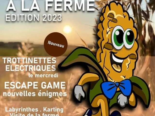 Labyrithe à la ferme Beun