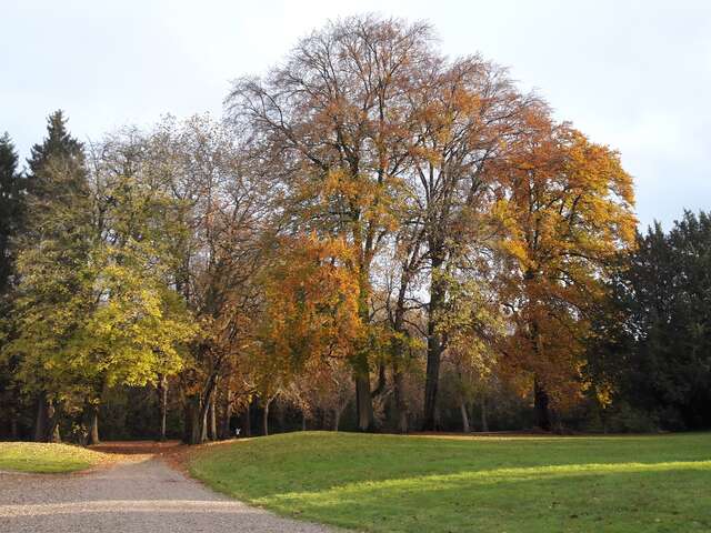 Parc et roseraie du Domaine de Chaalis