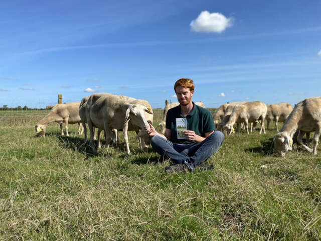 Découverte d'un élevage de brebis et dégustation à Hondschoote