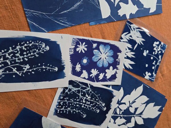 Atelier Cyanotype à Pitgam