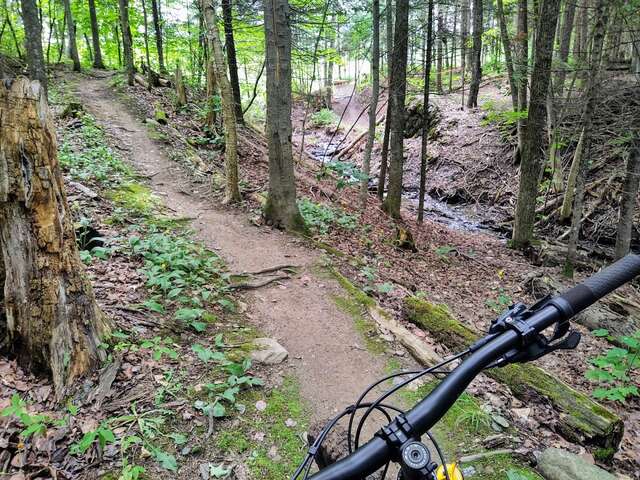 Vélo de montagne MSG