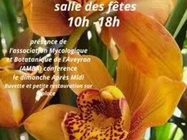 Salon des orchidées