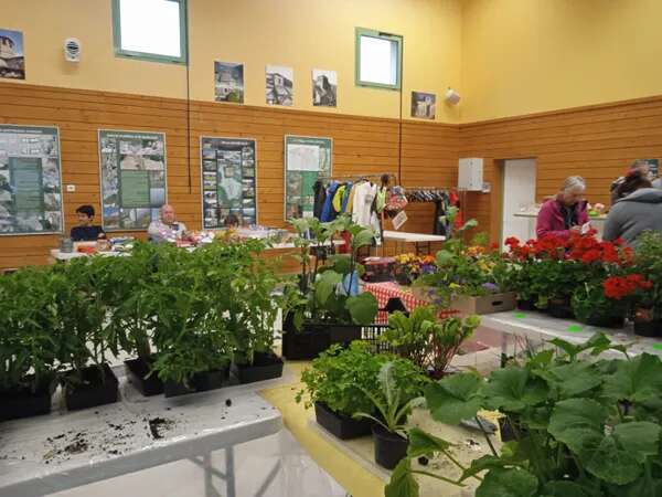 Vente de plants de fleurs et de légumes - Atoutscom