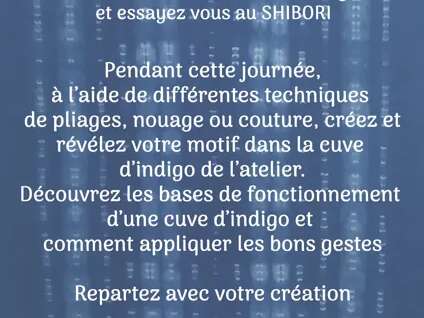 Stage d'initiation à la teinture végétale 28/06 - OOGAYA