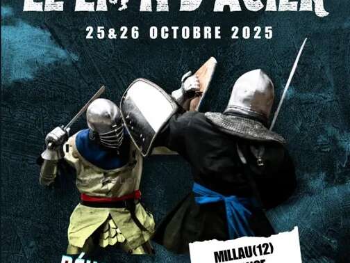 Le Lion d'Acier - Behourd duels
