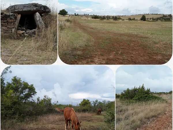 Mercredis cultur'actifs : sortie tumulus, atelier et goûter