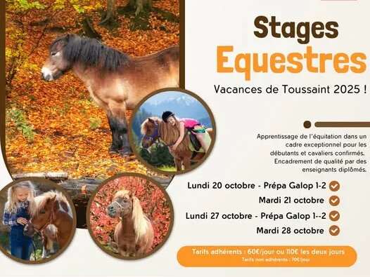 Stage d'équitation enfants et ados à la Salvage - vacances de la Toussaint