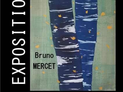 Expo de dessins et peintures de Bruno MERCET - MJC