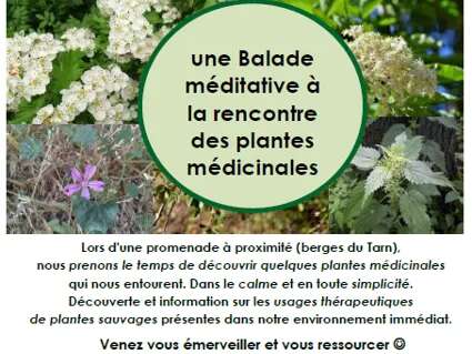 Balade à la rencontre des plantes médicinales - Nature et Merveilles