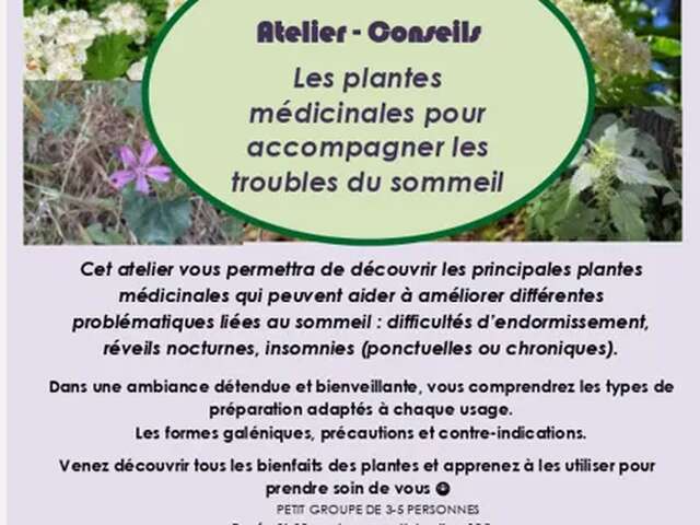 Atelier conseils plantes médicinales " - Nature et Merveilles