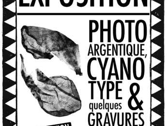 Exposition de Fiona Martin - Galerie du 11 rue de la Capelle