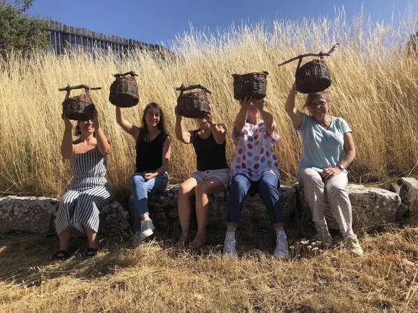 Stage de vannerie : tressage d'un panier zarzo - L'Oiseau Vanneur - Jasse du Larzac