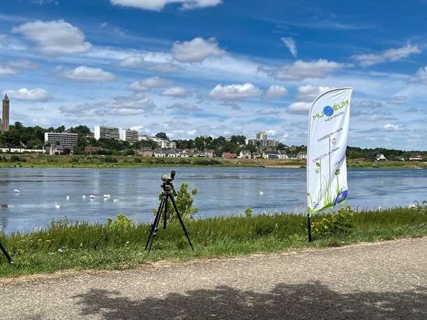 Ateliers du Muséum sur le parcours de la Loire à Vélo