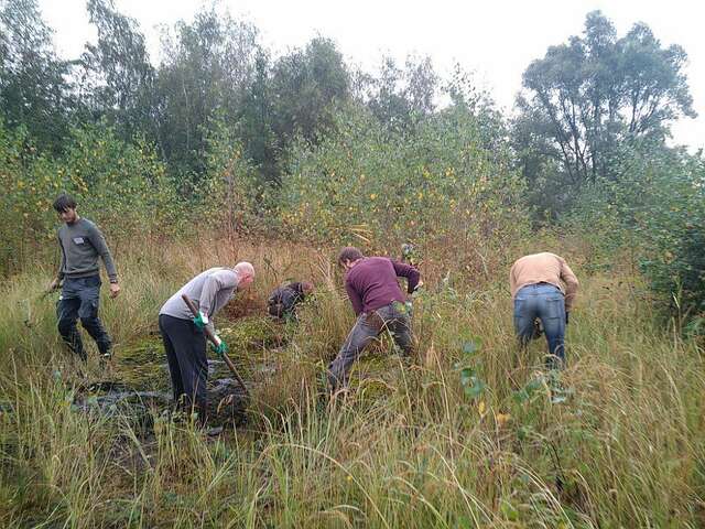 Tous en action sur le terril de Germignies