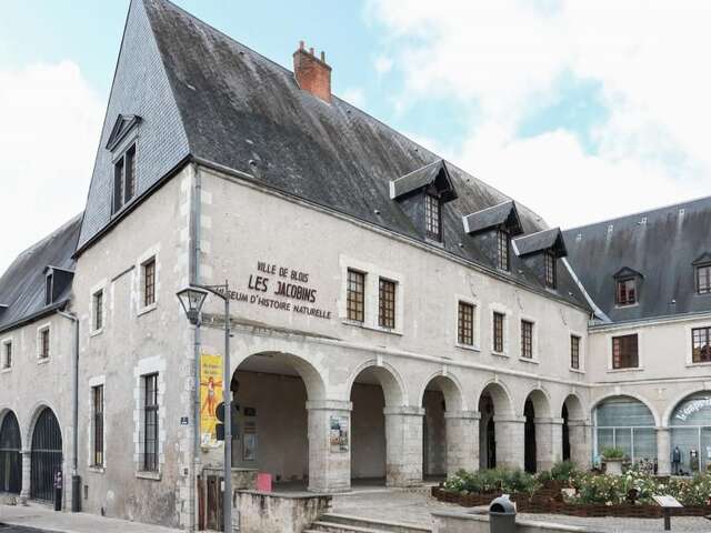 Le jardin vu par les animaux