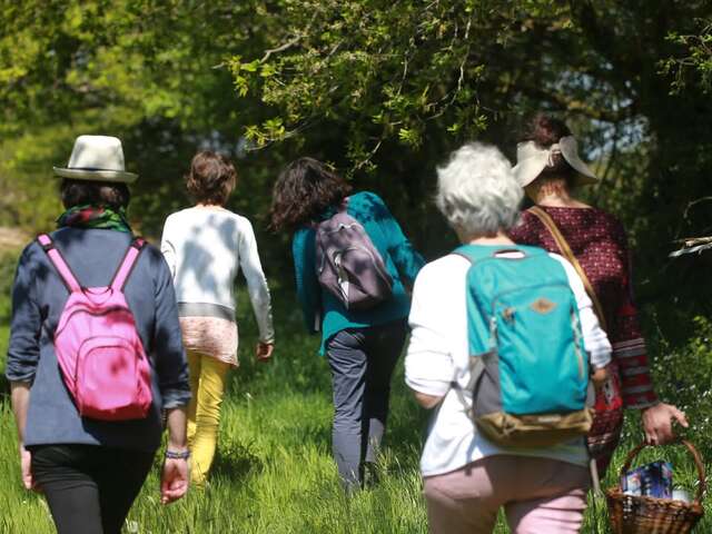 "Mardis de Pays" Balade plantes comestibles