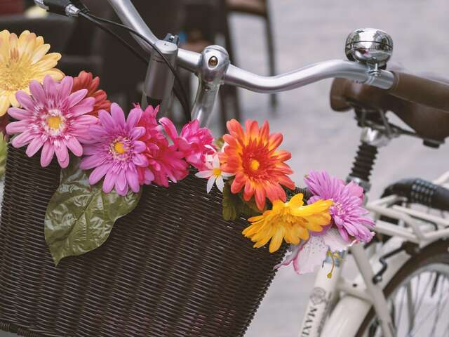 Concours de vélos, trotinettes et fauteuils fleuris à Cantin