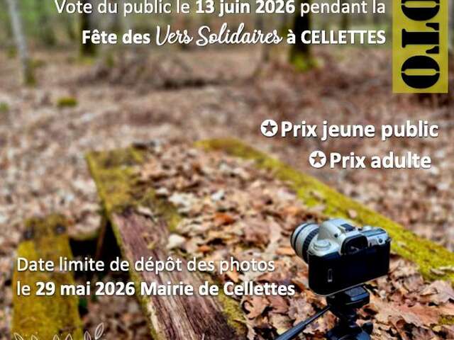 Concours photos : l'arbre et la forêt