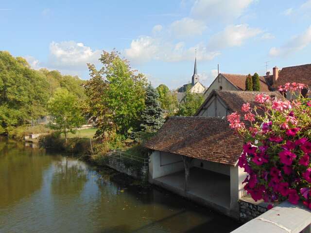 Les étangs de la Ferté-Saint-Cyr
