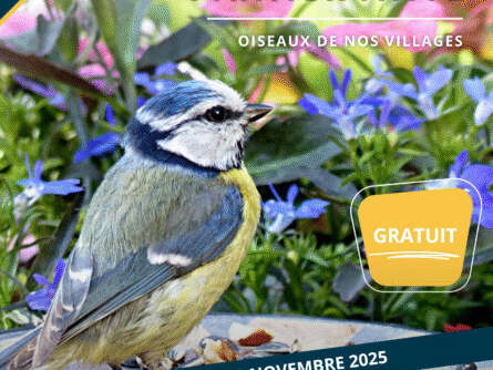 Exposition participative « Oiseaux de nos villages »