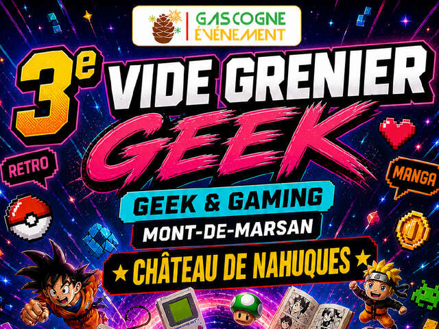 Vide Grenier Geek