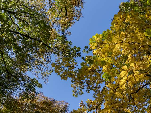 Le Jardin des plantes