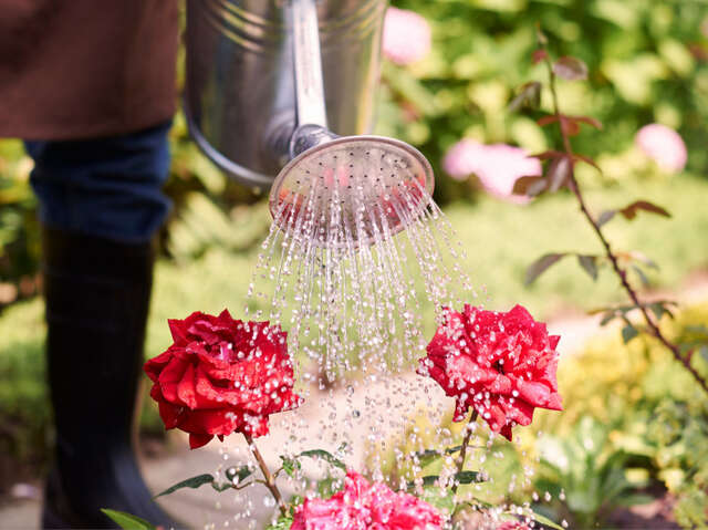 Évènement Nature & Vous - Économiser l'eau du jardin : astuces et fabrication d'une Oya