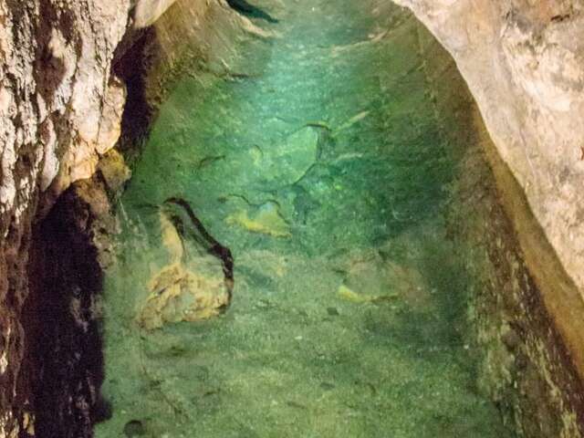Visite guidée « Blois royale et ses fontaines »