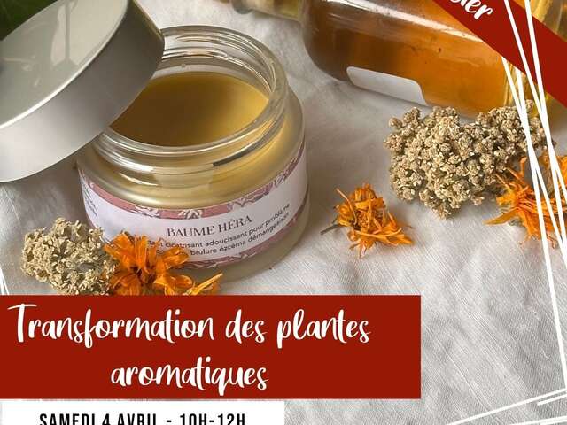 Atelier Transformation de vos plantes aromatiques