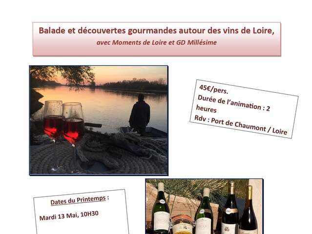 Balade et découverte gourmande des vins de Loire