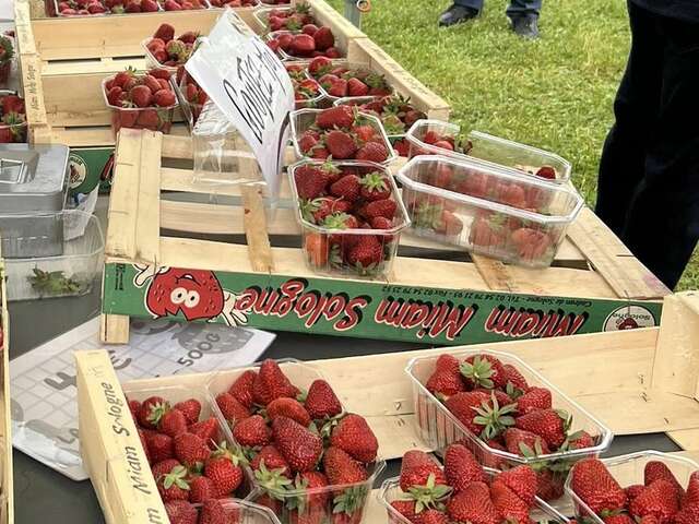 Fête de la Fraise