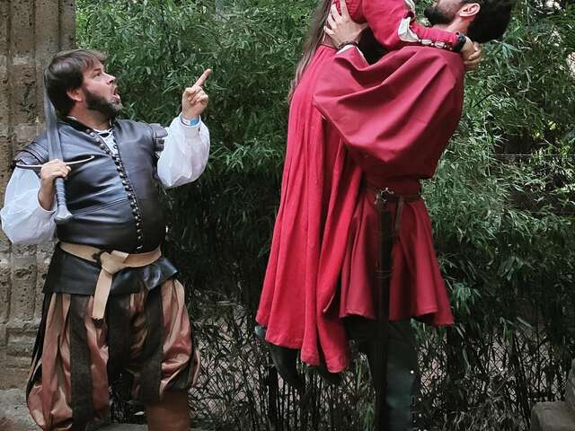 Spectacle d’action chevaleresque