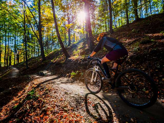 Circuit de Vieux-Barse