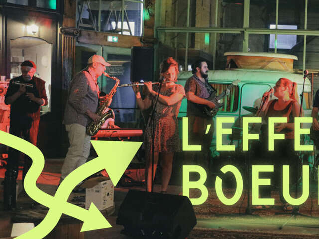 L’Effet Bœuf au Jardin de Cocagne