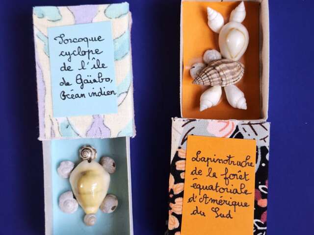 Les jeu(x)dis d'été - Chimère coquillage