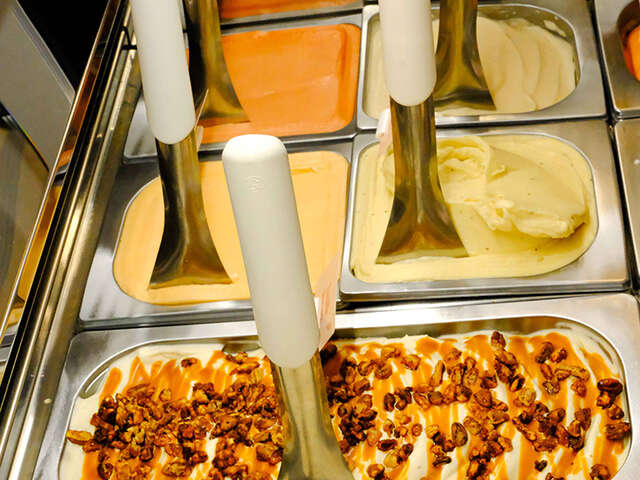 Fleur de Canne - Glacier